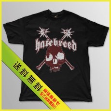 画像1: Hatebreed / Skull Logo T/S【送料無料】 (1)