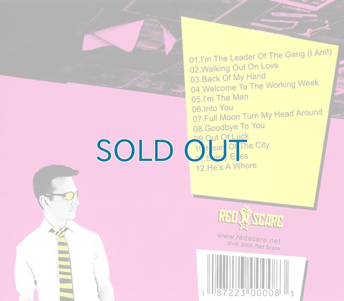 画像2: The Methadones / 21st Century Power Pop Riot (2)