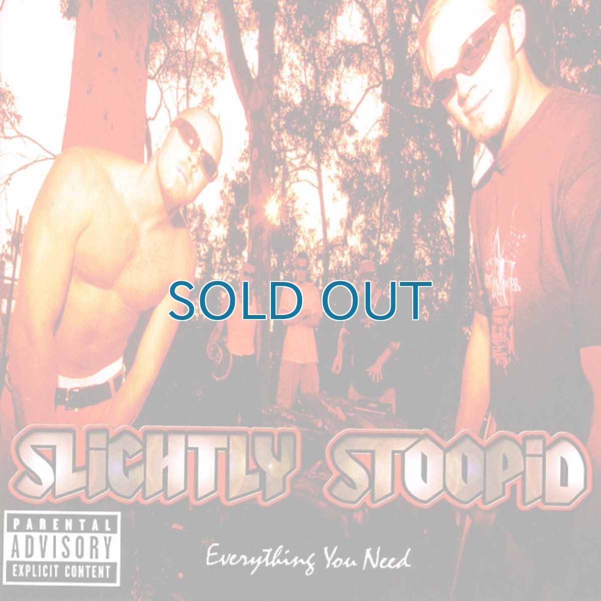 画像1: Slightly Stoopid / Everything You Need (1)