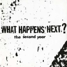 画像1: What Happens Next? ‎/ The Second Year【ユーズド】 (1)