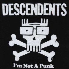 画像3: Descendents / Not A Punk BK T/S (3)