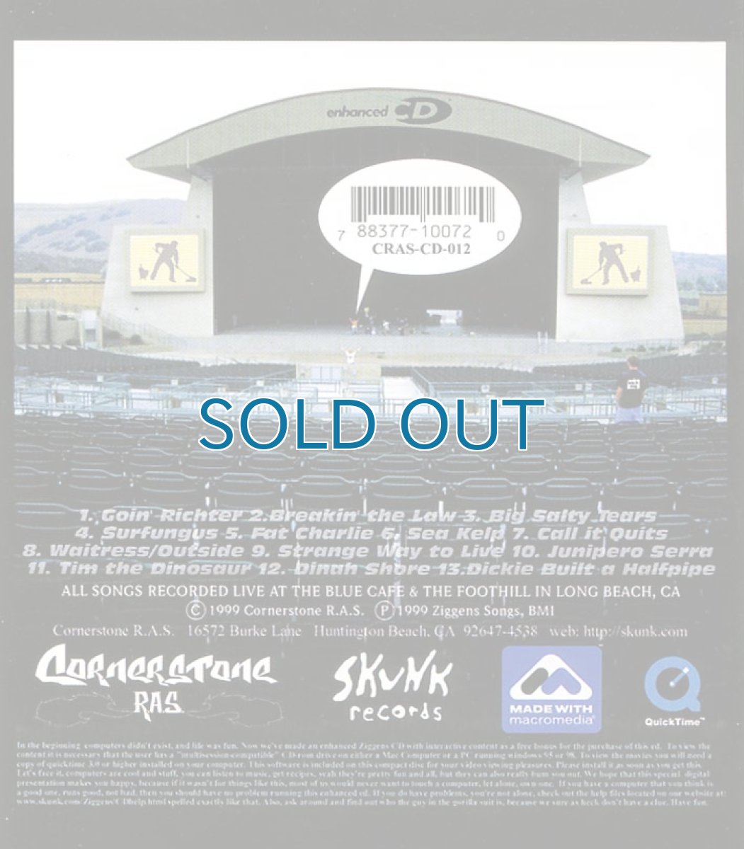 画像2: The Ziggens / Live: Tickets Still Available (2)