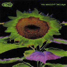 画像1: 311 / You Wouldn't Believe [US Orig.EP] [Promo CD | Volcano]【ユーズド】 (1)