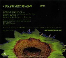 画像2: 311 / You Wouldn't Believe [US Orig.EP] [Promo CD | Volcano]【ユーズド】 (2)
