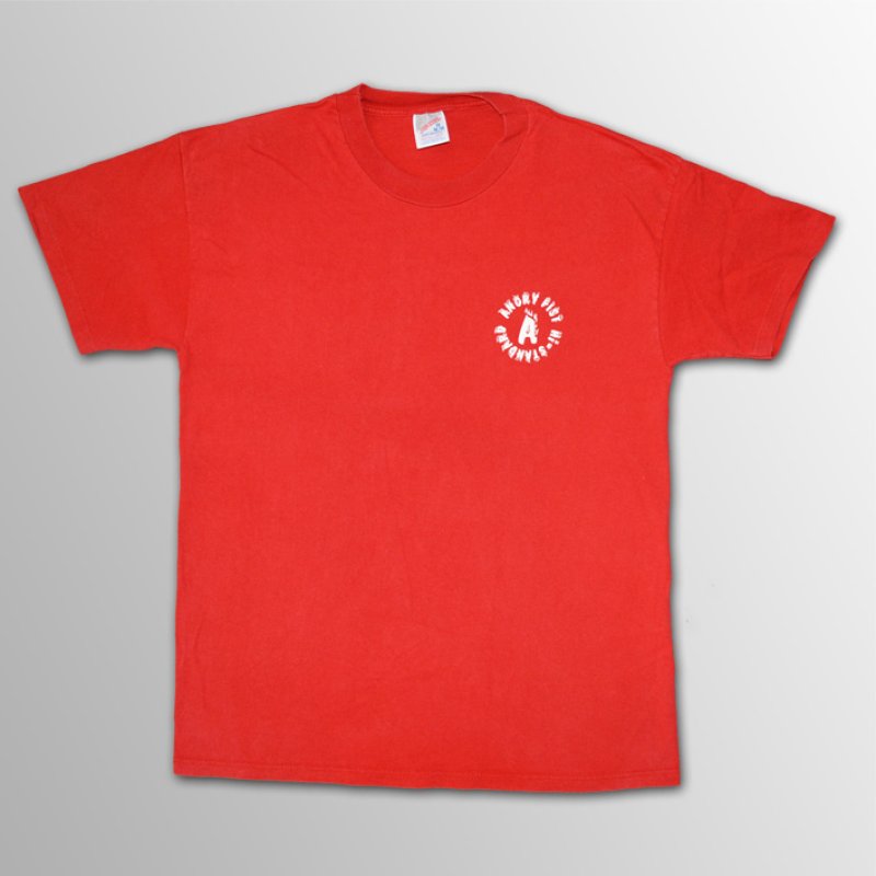 【90's】 HI-STANDARD ANGRY FIST TOUR Tシャツ Hi-Standard / ANGRY FIST Tour 1997 T/S【Mサイズ】【ユーズド