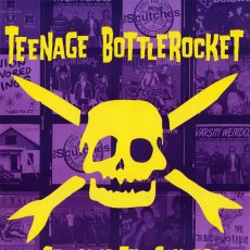 画像2: Teenage Bottlerocket / Stealing The Covers ポスター (2)