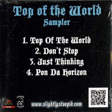 画像2: Slightly Stoopid / Top Of The World [US Orig.EP] [Promo CD | Stoopid]【ユーズド】 (2)