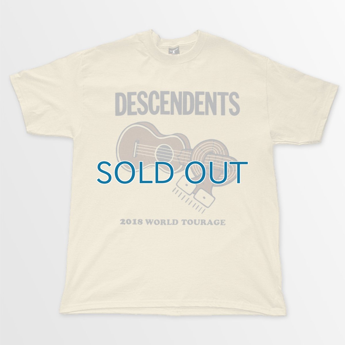 画像1: Descendents / 2018 World Tourage T/S (1)