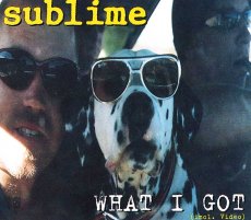 画像1: Sublime / What I Got (incl. Video) [Europe Org.EP] [CD | Gasoline Alley]【ユーズド】 (1)