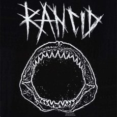 画像3: Rancid / Shark T/S (3)