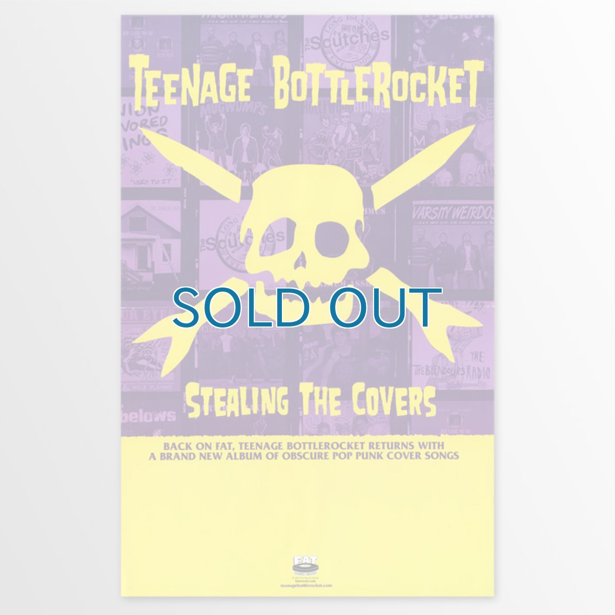 画像1: Teenage Bottlerocket / Stealing The Covers ポスター (1)