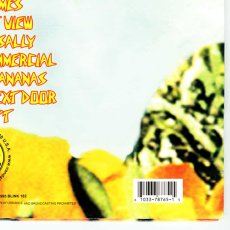 画像10: Blink-182 / Buddha [12inch アナログ・オリジナル盤]【ユーズド】 (10)