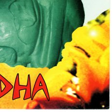 画像6: Blink-182 / Buddha [12inch アナログ・オリジナル盤]【ユーズド】 (6)