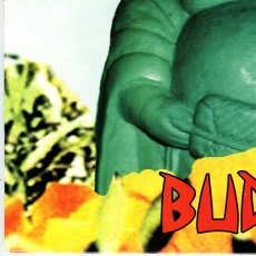 画像5: Blink-182 / Buddha [12inch アナログ・オリジナル盤]【ユーズド】 (5)