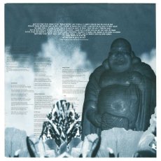 画像12: Blink-182 / Buddha [12inch アナログ・オリジナル盤]【ユーズド】 (12)