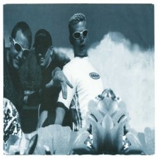 画像11: Blink-182 / Buddha [12inch アナログ・オリジナル盤]【ユーズド】 (11)