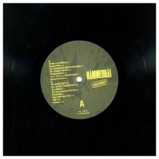 画像4: Hammerhai / Erledigt [Germany Orig.LP+Inner] [12inch | Plastic Bomb]【ユーズド】 (4)