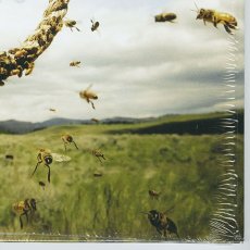 画像10: Lagwagon / Hang [12inch アナログ | シールド残アリ | オリジナル盤]【ユーズド】 (10)