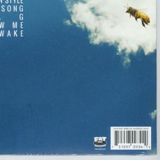画像14: Lagwagon / Hang [12inch アナログ | シールド残アリ | オリジナル盤]【ユーズド】 (14)