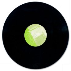画像8: Skankin' Pickle / Sing Along With Skankin’ Pickle [12inch アナログ・オリジナル ブラック盤・シュリンク残あり]【ユーズド】 (8)