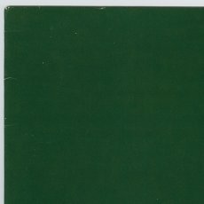 画像9: Skankin' Pickle / The Green Album [12inch アナログ]【ユーズド】 (9)