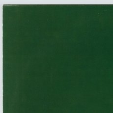 画像13: Skankin' Pickle / The Green Album [12inch アナログ]【ユーズド】 (13)