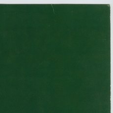 画像10: Skankin' Pickle / The Green Album [12inch アナログ]【ユーズド】 (10)