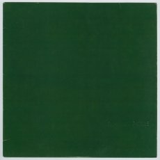 画像1: Skankin' Pickle / The Green Album [12inch アナログ]【ユーズド】 (1)