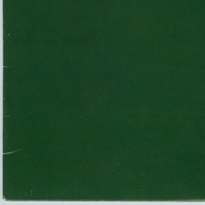 画像11: Skankin' Pickle / The Green Album [12inch アナログ]【ユーズド】 (11)