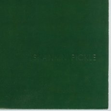 画像12: Skankin' Pickle / The Green Album [12inch アナログ]【ユーズド】 (12)