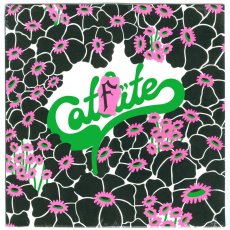 画像3: Catfite / Catfite & Catlite [US Org.LP, 1st pressing, Orange] [12inch | Bad Time]【新品】 (3)