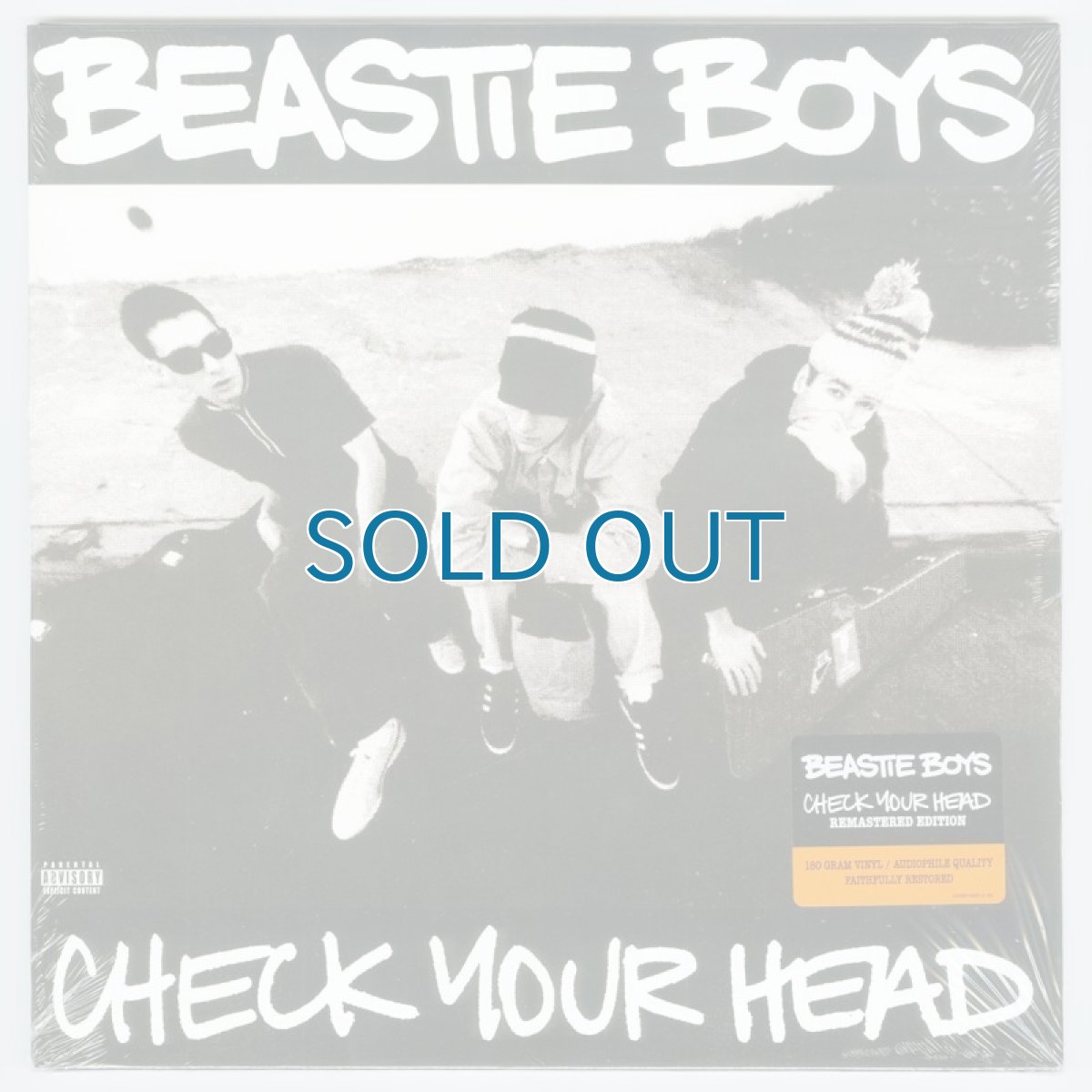 画像1: Beastie Boys / Check Your Head (remastered) [EU Reissue LP+Inner] [12inchx2 | Grand Royal]【新品】 (1)
