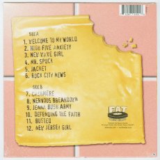 画像2: Nerf Herder / American Cheese [US Reissue LP Stinky Yellow] [12inch | Fat Wreck Chords]【新品】 (2)