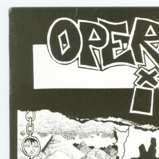 画像9: Operation Ivy / Energy [US Repress LP+Inner] [12inch | Hellcat]【新品】 (9)