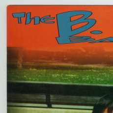 画像5: The Bruce Lee Band / The Bruce Lee Band [US Orig.LP+2000ltd | Black] [12inch | Asian Man]【ユーズド】 (5)