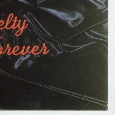 画像10: Bracket / Novelty Forever [US Orig.LP+Inner] [12inch | Fat Wreck]【ユーズド】 (10)