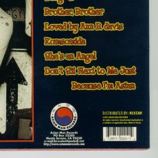 画像12: The Bruce Lee Band / The Bruce Lee Band [US Orig.LP+2000ltd | Black] [12inch | Asian Man]【ユーズド】 (12)