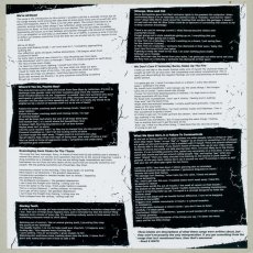 画像7: We Are The Union / Great Leaps Forward [US Orig.LP+Inner | Purple / Grey Mix] [12inch+CD | Paper + Plastick]【ユーズド】 (7)