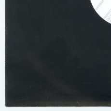 画像11: 311 / Hydroponic+Enlarged To Show Detail [Private Disk | Black] [12inch]【ユーズド】 (11)