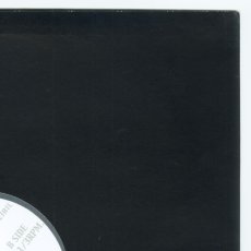 画像10: 311 / Hydroponic+Enlarged To Show Detail [Private Disk | Black] [12inch]【ユーズド】 (10)
