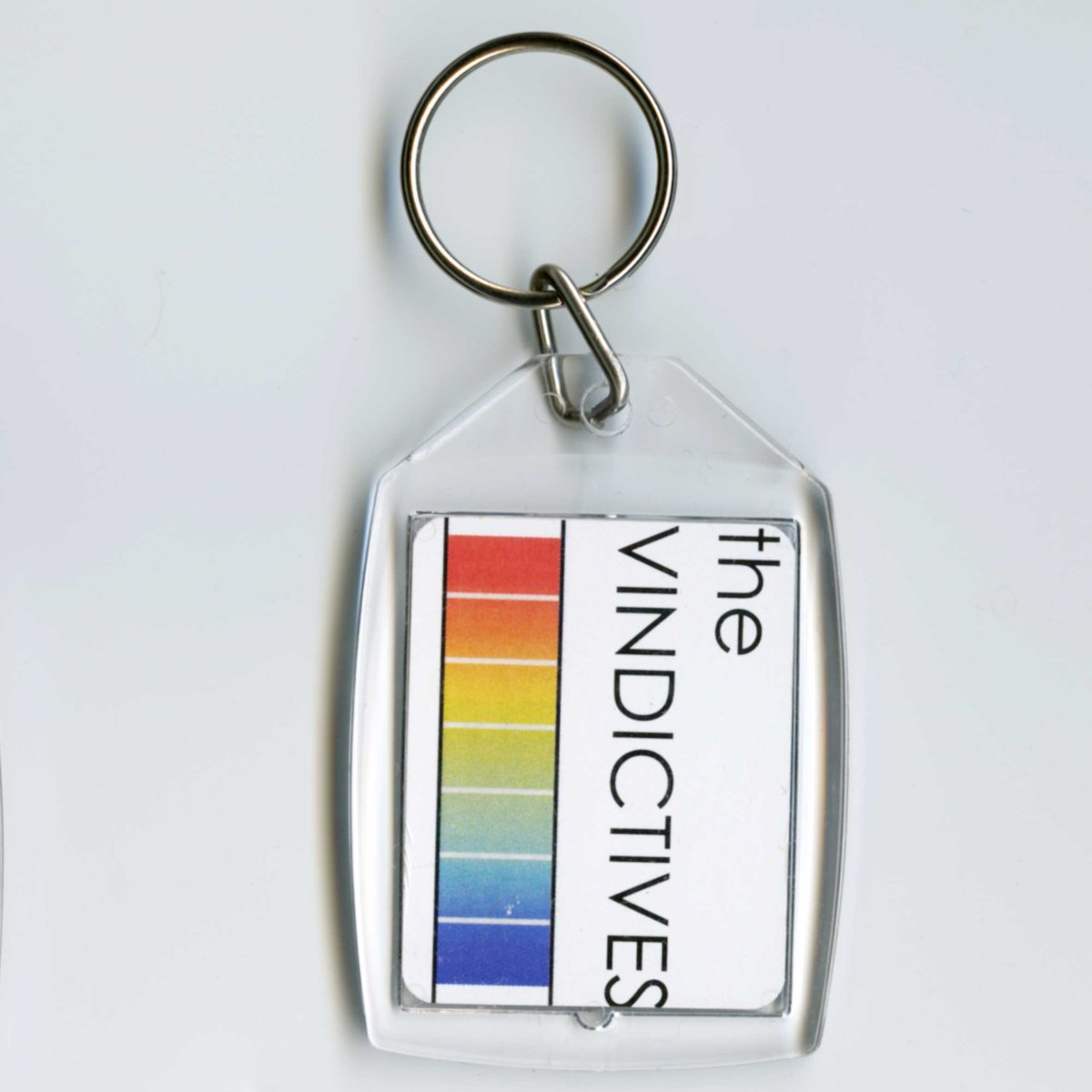 画像1: The Vindictives / Many Moods With Pills キーホルダー (1)