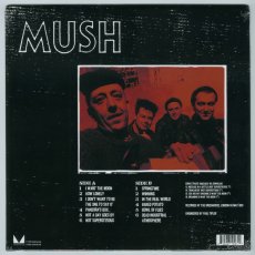 画像2: Leatherface / Mush (remastered) [UK Reissue LP+Inner] [12inch | Call Of The Void]【新品】 (2)