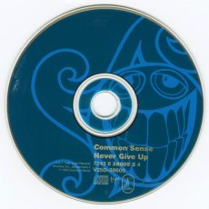画像3: Common Sense / Don't Look Back [US Orig.EP] [CD | Surfdog]【ユーズド】 (3)
