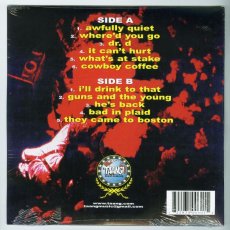画像2: The Mighty Mighty Bosstones / More Noise And Other Disturbances [US Reissue LP | Gatefold | Colored][12inch | Taang!]【新品】 (2)
