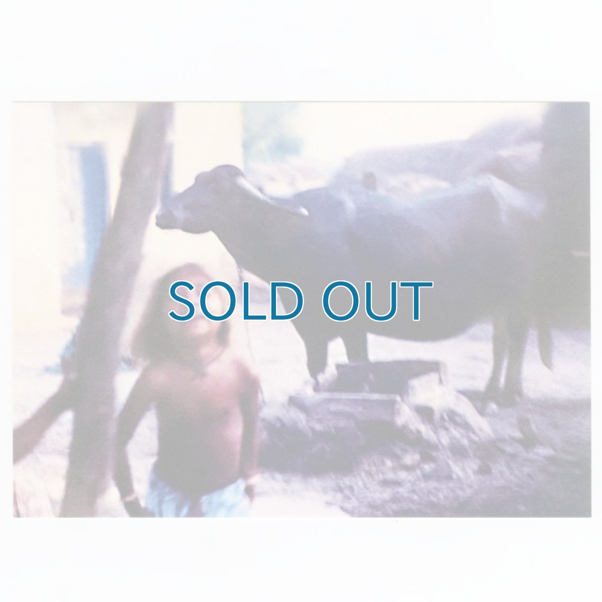 画像3: Leatherface / Minx [UK Reissue LP | Red Disk | Still in Shrink] [12inch | Call Of The Void]【ユーズド】 (3)