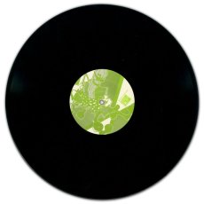 画像5: Skankin' Pickle / Sing Along With Skankin’ Pickle [US Orig.LP] [12inch | Dr. Strange]【ユーズド】 (5)
