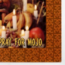 画像9: Mustard Plug / Pray For Mojo [US Orig.LP+Inner] [12inch | Hopeless]【ユーズド】 (9)