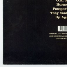 画像10: The Digger$ / Mount Everest [UK Orig.LP][12inch | Creation]【ユーズド】 (10)