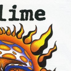 画像7: Sublime / Sun - Skunk Records Logo T/S 【XLサイズ】【ユーズド】 (7)