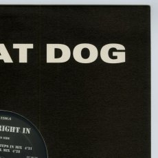 画像6: Dog Eat Dog / Step Right In (Remixed) [US Orig.EP][12inch | Roadrunner]【ユーズド】 (6)